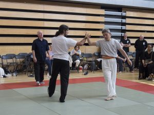 UK TAI CHI COMPETITION 2017 | Azi School of Taiji