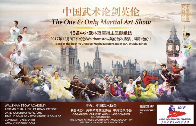 Martial Arts Show 2017 | Azi School of Taiji