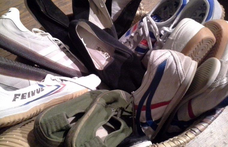 Taiji Shoes | Azi School of Taiji