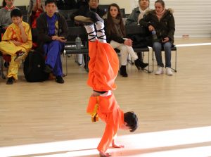 Wu Shu Event | Azi School of Taiji