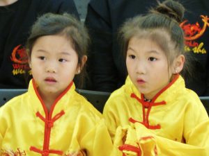 Young Wu Shu Students | Azi School of Taiji