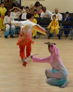 China Wu Shu Champions | Azi School of Taiji