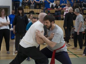 fixed Push Hands | Azi School of Taiji