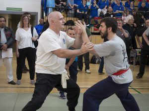 fixed Push Hands | Azi School of Taiji