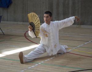 UK Competition for Traditional Tai Chi Chuan 2018 | Azi School of Taiji