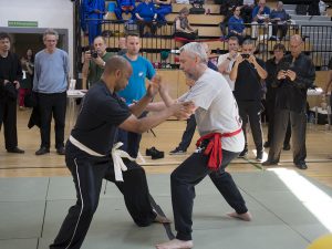 Fixed Push Hands | Azi School of Taiji