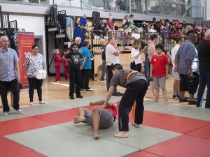 Moving Push Hands | Azi School of Taiji