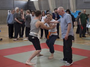 London Competition for Traditional Tai Chi Chuan 2018 | Azi School of Taiji