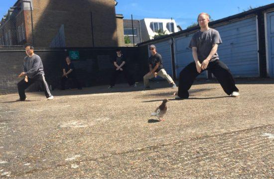 Outside practice | Azi School of Taiji