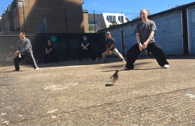 Outside practice | Azi School of Taiji