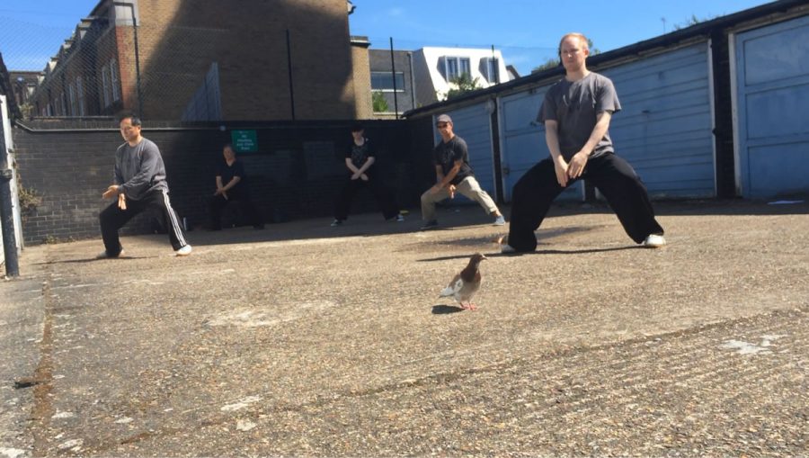 Outside practice | Azi School of Taiji